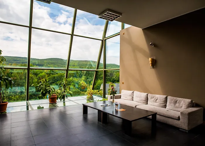 Sunny Hill Hotel Cluj-Napoca